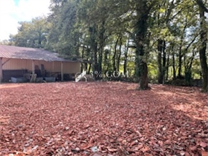 zi-zac à la vente -   40000  MONT DE MARSAN, surface 1600 m2 vente zi-zac - UBI457273403