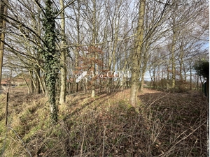 terrain à la vente -   02420  VENDHUILE, surface 2611 m2 vente terrain - UBI465519923
