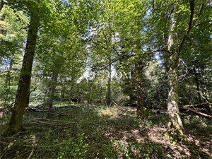 terrain à la vente -   54450  CHAZELLES SUR ALBE, surface 11407 m2 vente terrain - UBI470467988