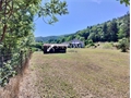Photo numero 47842957 du bien UBI477314966