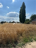Photo numero 48057335 du bien UBI479493950
