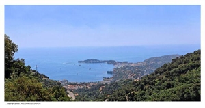 terrain à la vente -   06230  VILLEFRANCHE SUR MER, surface 4337 m2 vente terrain - UBI332641557