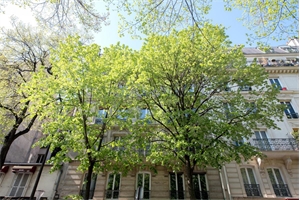 t3 à la vente -   75018  PARIS, surface 68 m2 vente t3 - UBI388496306