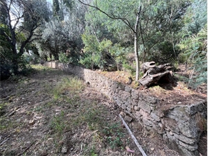 terrain à la vente -   83520  ROQUEBRUNE SUR ARGENS, surface 1630 m2 vente terrain - UBI405228986