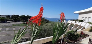 t1 à la vente -   17000  LA ROCHELLE, surface 35 m2 vente t1 - UBI459430970