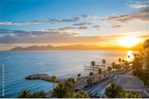 maison à la vente -   06000  CANNES, surface 170 m2 vente maison - UBI468169592