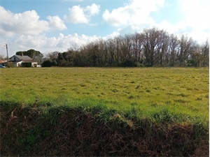 terrain a batir à la vente -   85270  SAINT HILAIRE DE RIEZ, surface 381 m2 vente terrain a batir - UBI465353939