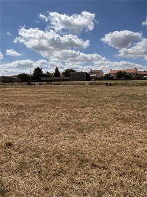 terrain a batir à la vente -   85130  SAINT MARTIN DES TILLEULS, surface 446 m2 vente terrain a batir - UBI480336731