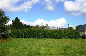 terrain constructible à la vente -   56160  LANGOELAN, surface 0 m2 vente terrain constructible - BEL22334