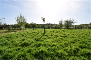 terrain a batir à la vente -   71580  SAILLENARD, surface 2003 m2 vente terrain a batir - UBI420842629