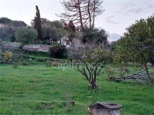 maison à la vente -   20290  BORGO, surface 90 m2 vente maison - UBI424659790