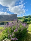 Photo numero 42586767 du bien UBI425241553