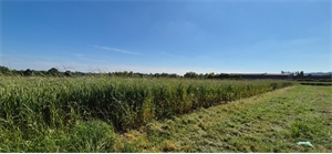 terrain à la vente -   51130  BLANCS COTEAUX, surface 3543 m2 vente terrain - UBI426559679