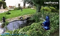 Photo numero 42869110 du bien UBI428719559
