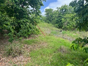 terrain à la vente -   97231  LE ROBERT, surface 960 m2 vente terrain - UBI430130126