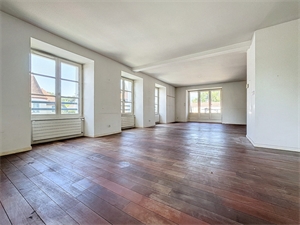 appartement à la vente -   01210  FERNEY VOLTAIRE, surface 195 m2 vente appartement - UBI432496196