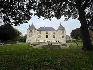 chateau à la vente -   86360  CHASSENEUIL DU POITOU, surface 800 m2 vente chateau - UBI432983417