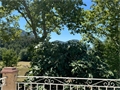 Photo numero 43918591 du bien UBI437099975