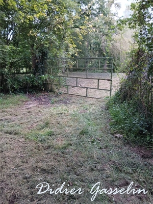 etang à la vente -   72320  GREEZ SUR ROC, surface 5383 m2 vente etang - UBI437740244