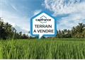 Terrain à bâtir à la vente