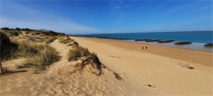 maison a renover à la vente -   17310  SAINT PIERRE D OLERON, surface 164 m2 vente maison a renover - UBI442433729