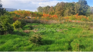 terrain a batir à la vente -   70300  LUXEUIL LES BAINS, surface 1122 m2 vente terrain a batir - UBI443020187