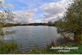 Etang à la vente