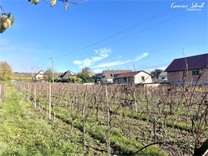 terrain à la vente -   68420  OBERMORSCHWIHR, surface 2112 m2 vente terrain - UBI446834408