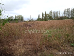 terrain agricole à la vente -   11100  NARBONNE, surface 6250 m2 vente terrain agricole - UBI449216630
