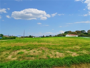 terrain a batir à la vente -   40700  SAINTE COLOMBE, surface 2200 m2 vente terrain a batir - UBI449953304