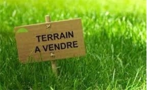 terrain à la vente -   97360  MANA, surface 20025 m2 vente terrain - UBI449983214