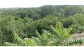 Maison de campagne à la vente