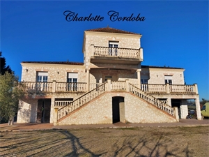 maison à la vente -   47230  FEUGAROLLES, surface 233 m2 vente maison - UBI454086752