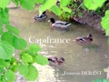Image du bien UBI454330688