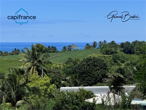terrain à la vente -   97115  SAINTE ROSE, surface 23960 m2 vente terrain - UBI456294833