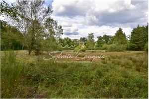 propriete à la vente -   18700  MENETREOL SUR SAULDRE, surface 305 m2 vente propriete - UBI456381257
