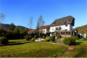 propriete à la vente -   88560  SAINT MAURICE SUR MOSELLE, surface 300 m2 vente propriete - UBI457503191