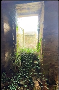 Image du bien UBI458951309