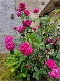 Photo numero 46226181 du bien UBI459466964