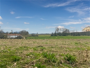grange à la vente -   32170  MANAS BASTANOUS, surface 170 m2 vente grange - UBI460102997