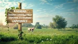 terrain à la vente -   61150  LOUGE SUR MAIRE, surface 4200 m2 vente terrain - UBI460613111
