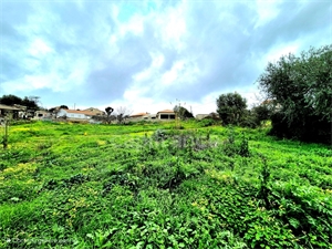 terrain a batir à la vente -   20600  BASTIA, surface 1080 m2 vente terrain a batir - UBI460825601