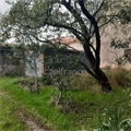 Photo numero 46550328 du bien UBI461230802