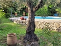 Image du bien UBI461983481