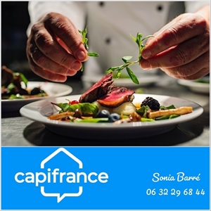restaurant à la vente -   29120  PONT L ABBE, surface 510 m2 vente restaurant - UBI462155255