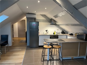 appartement ancien à la vente -   67150  ERSTEIN, surface 40 m2 vente appartement ancien - UBI463650326