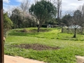 Photo numero 46728915 du bien UBI464421266