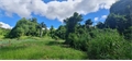 Terrain à bâtir à la vente