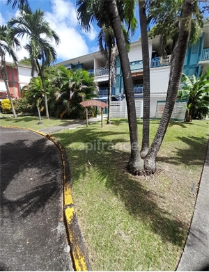 appartement à la vente -   97227  SAINTE ANNE, surface 25 m2 vente appartement - UBI465116972