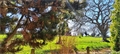 Image du bien UBI465544196